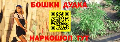 PSILOCYBIN Заволжье