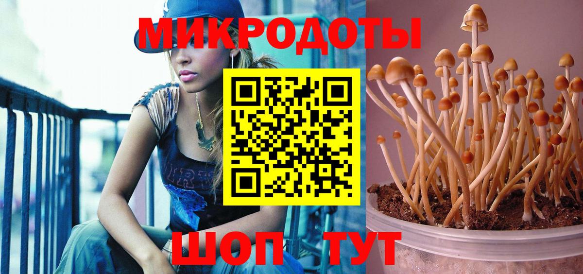 Псилоцибиновые грибы Magic Shrooms Дятьково